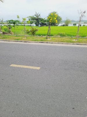 hậu view lúa đ.hùng vương cánh đồng hội an tây gần phố