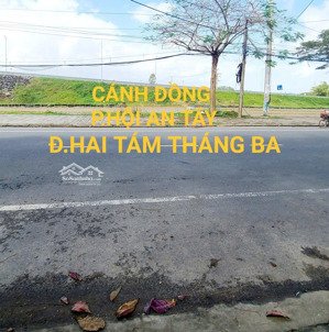 view lúa kề lô góc đ.hùng vương cánh đồng lúa ph hội an tây