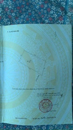 hiếm nhà bán phố vũ ngọc phan, ngõ nông, cải tạo lại dòng tiền siêu tốt, 65mx5tầng , 12tỷ8