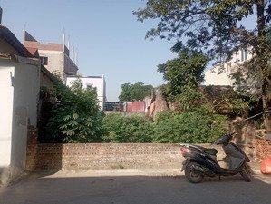 80 triệu. đường kinh doanh 8m . trục chính thôn du nội,mai lâm, đông anh,hà nội.