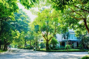 bán căn song lập rẻ nhất ecopark, sân vườn rộng, bán nhanh