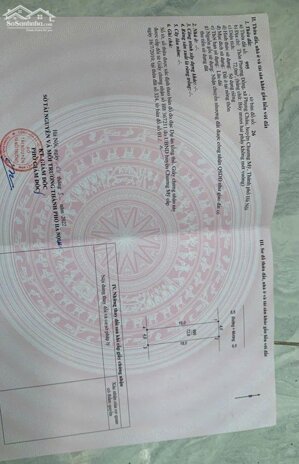 Cần bán 72m2 đất Phượng Đồng, Phụng Châu. Đường rộng 6.6m