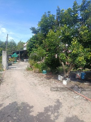 cần thanh lý nhà + vườn view suối ở bình dương hơn 1 sào 1 sẵn sổ 226tr công chứng ngay được.