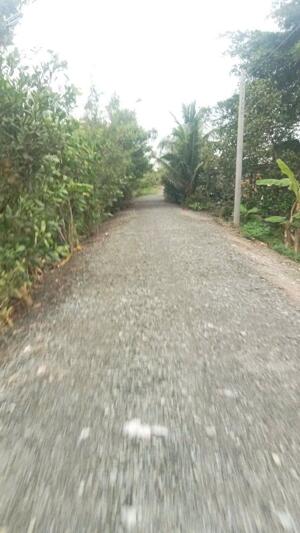 Bán đất thổ + vườn đường xe hơi đá xanh xã Thạnh Lợi tdt 2230,9m2 ( 410m2 thổ cư ) giá 3,5 tỷ