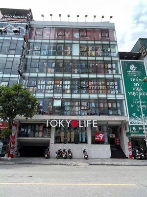 cho thuê nhà mặt phố trần khát chân tổng s 1200m 6 tầng mặt tiền 10m giá thuê cực tốt