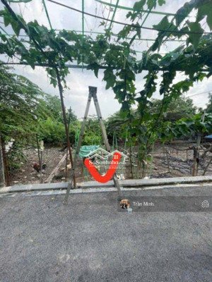 đất đẹp 73m giá nhỉnh 7 tỷ | cơ hội hiếm. vị trí đất , thôn xuân trạch , xã xuân canh cũ .