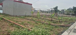 chỉ từ 385 triệu sở hữu đất thổ cư thủy nguyên, hải phòng