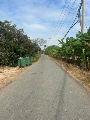 bán đất thái mỹ mặt tiền đường cây trôm mỹ khánh