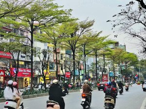 bán nhà lô góc - một nhà ra phố nguyễn văn huyên - 8 tầng thang máy - ô tô vào nhà kinh doanh đỉnh