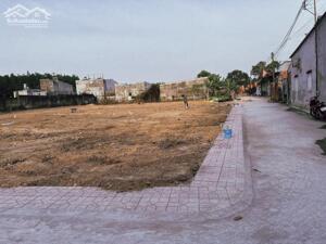 ĐẤT ĐẸP ẤP 7 – AN PHƯỚC – LONG THÀNH Đối diện KCN Long Thành – cách cổng chỉ 500m