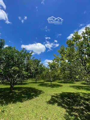 chính chủ f0 cần bán gần 5000m2, chỉ có nhỉnh tỷ