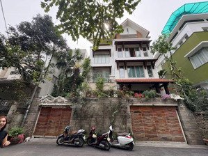 * siêu vip bán gấp biệt thự vườn đào ; dt240m ,6 tầng có thang máy , giá chỉ 145 tỷ .