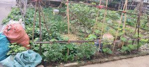 lô góc đẹp ô tô vào đất gần hồ điều hòa kinh doanh bến trung phúc thịnh (mới) hà nội