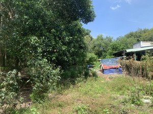 bán đất chính chủ 554m2 bến cát, tp hồ chí minh