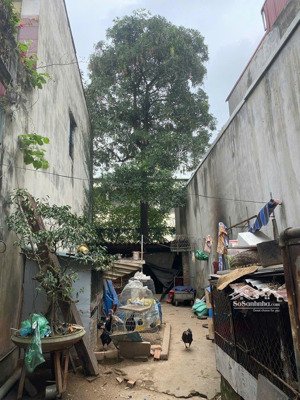 hiếm! chính chủ bán đất bồ đề 63m2, 30m ra oto, xây nhà ở sướng, giá đầu tư, nhỉnh 7 tỉ