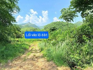 bán đất 7,6ha sẵn cây quế và bồ đề tại yên lập, phú thọ, 14 nghìn /m2, gần hồ du lịch