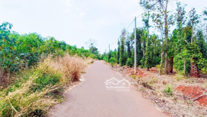 bán gấp bds 6300 m2 có 1760 thổ cư siêu đẹp giữa khu dân cư sổ hồng chuẩn công chứng nhanh giá tốt