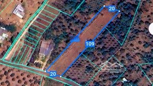 bán rẻ lô đất 2000m2 100m2 thổ cư, khu dân cư bình ba, chỉ 2.5 tỉ