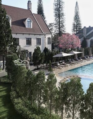 đất đẹp khu quang trung cung đường tổ hợp các con đường đẹp nhất đà lạt