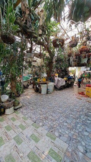 bán nhà c4 142m2 (14x11m) kdc hiện hữu huỳnh tấn phát q7, chỉ 50tr/m2 tặng vườn lan, tiện xây chdv