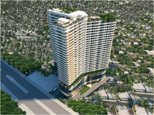 bán căn hộ d-homme, 6,7 tỷ, 70m2, 2pn + 2wc tại hồng bàng, q6, tp.hcm