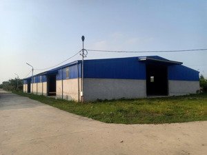 cho thuê 16000m2 có 2.000m2 kho xưởng tại phú xuyên, hà nội. gần dự án sông hồng, vin olimpic