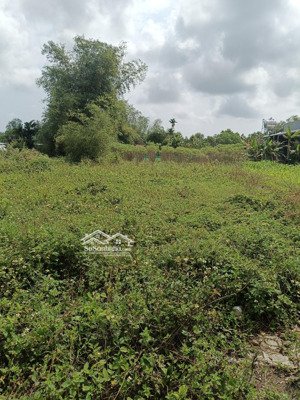 vườn, block 4 lô. dt 125m2 - đất ođt 50m2