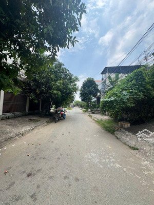 bán đất mặt phố đường phạm thế hiển, khu phân lô - diện tích lớn giá đầu tư. 98m2. nhỉnh 5tỷ