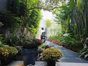 nhà vườn "chill" giữa lòng đà nẵng - không gian sống xanh cho chủ mới