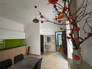 căn hộ cao cấp 2 phòng ngủ gần q1