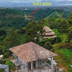 bán đất 1 triệu/ m2 quy hoạch thổ cư cạnh khu nghỉ dưỡng hamony retreat bảo lộc