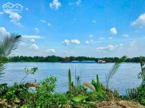 Đất thổ cư 609m2 mt View sông Vàm Cỏ xã Tân Chánh giá rẻ 700tr