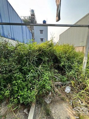 bán đất dt 310m6,8*45 đường an phú đông 25 phường an phú đông quận 12 giá 12,6tỷ đường 10m