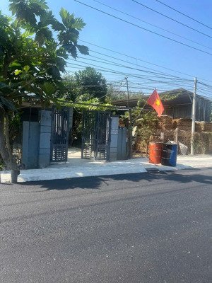 tôi chính chủ cần bán 308,8m2 có thổ cư đường nhựa lớn . giá chỉ 1ty650 bao sang tên .