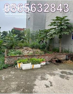 ⭐️Bán đất vị trí đẹp tại Đông Bình, Gia Bình, Bắc Ninh, 4.4tỷ. 0865632843