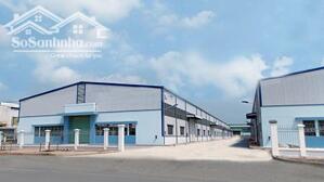 Cho Thuê Kho 8132m2 Pccc Tự động Trong Kcn Sóng Thần