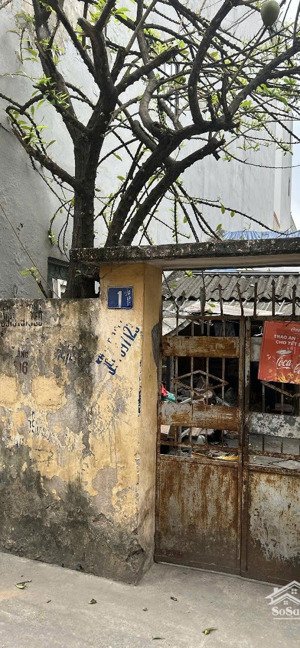 chính chủ bán đất vị trí đẹp gần cầu đông trù, gần vin cổ loa phù hợp xây ở hoặc giữ tiền đầu tư