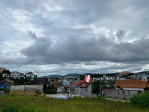 bán lô đất nghỉ dưỡng, đồi huy hoàng, đà lạt thích hợp ở đầu tư sinh lời