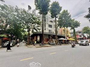 biệt thự phố cao cấp hưng phước 3 - góc đường phạm văn nghị. giá bán: 95 tỷ - dtsd: 600m2