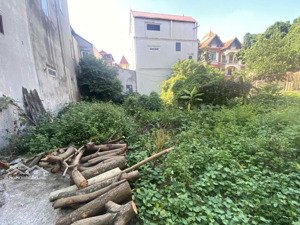 đón dự án thành phố ven sông hồng-cạnh cầu thăng long và cầu thượng cát