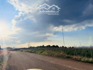 vùng ven đà lạt tại nam ban view đẹp