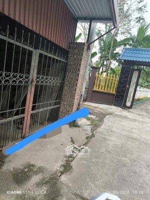 bán đất đức nhân phường trạm lộ bắc ninh dt 55m lô góc ô tô thông dân cư đông đúc gần khu công ngh