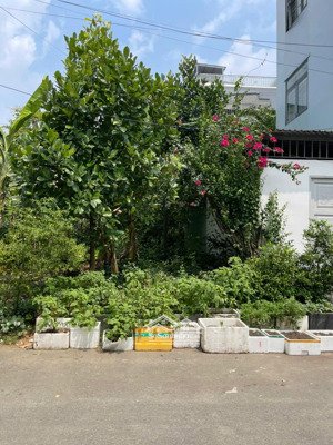 đất nền kdc nam long, global city, svđ rạch chiếc, phước long b, 5.8x25.5m, vuông vức, giá 11.5 tỷ