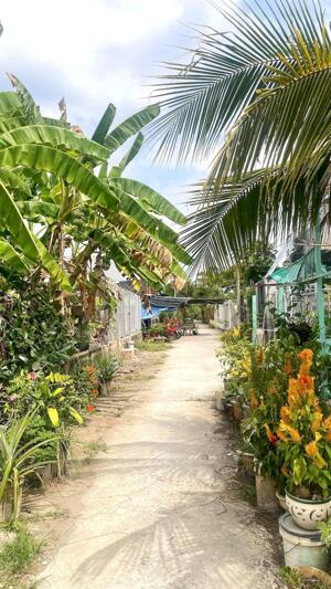 CẦN BÁN 250M2 ĐẤT THỔ CƯ HẺM BA GÁC GẦN QL1A