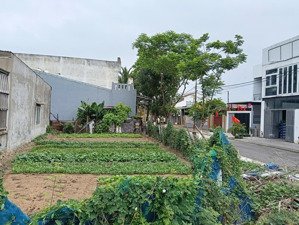 bán đất tại việt bắc, 15,5 tỷ, 165m2, pháp lý đầy đủ