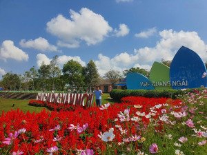 đầu tư đất nền khu dịch vụ hỗn hợp vsip quảng ngãi - tiềm năng và cơ hội lớn khi tiên phong