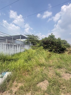 chủ cần bán gấp đất thổ cư trung tâm cần giuộc