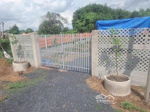 đất vườn xã tân thông hội, củ chi, 584m2, shr, 1 tỷ 3