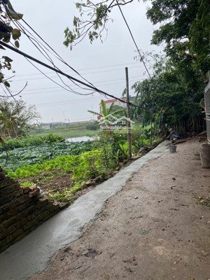 bán 100,7m2 đất sát vd4. giá cực tốt, chỉ 31tr/m2. hàng hiem tại khu vực. cách đt 205 chỉ 300m