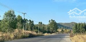 bán gấp đất nền 160hecta tại quốc lộ 28b, sông bình, bắc bình, giá ưu đãi 55 nghìn / m2